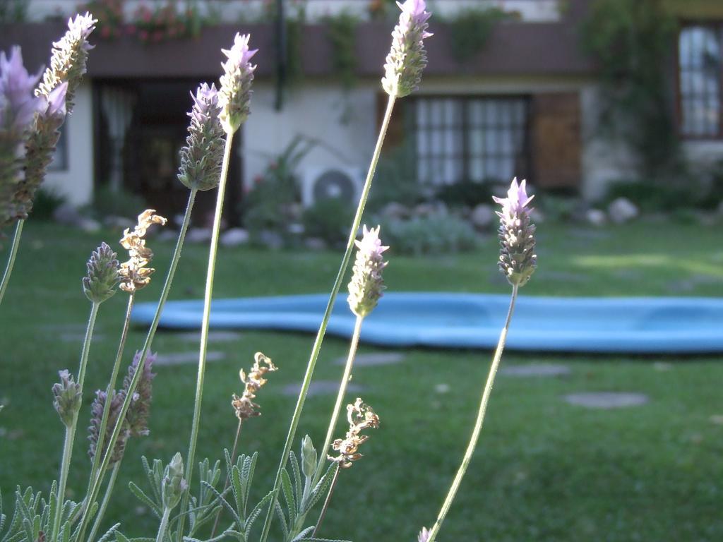 Hosteria Pascana San Salvador de Jujuy Luaran gambar