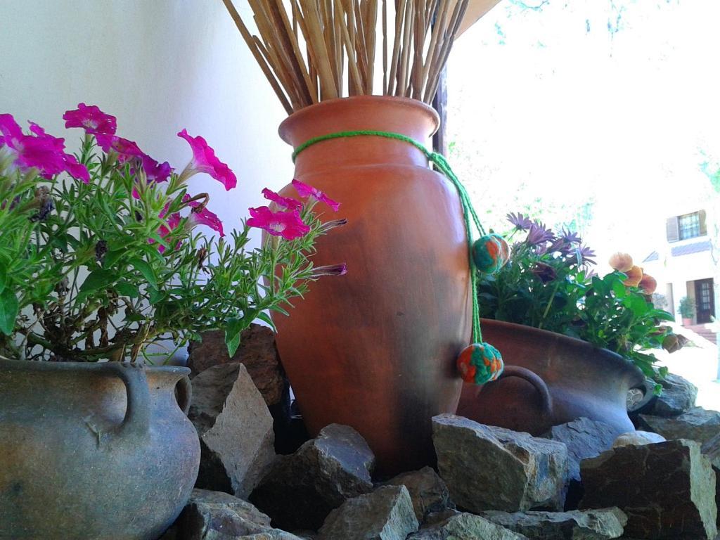 Hosteria Pascana San Salvador de Jujuy Luaran gambar
